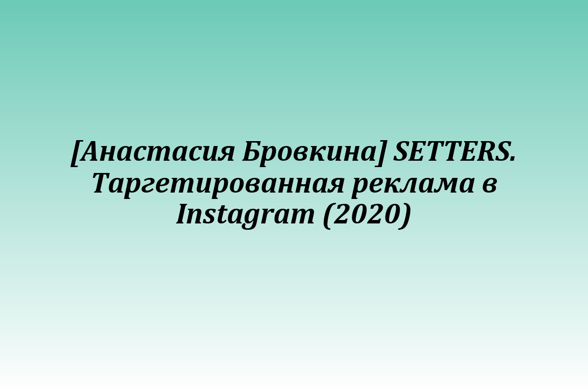[Анастасия Бровкина] SETTERS. Таргетированная реклама в Instagram (2020)